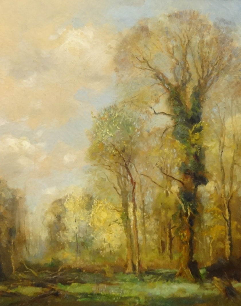 Henry Mitton Wilson (1873-1923), oil on canvas, 'Trees', 62cm x 50cm, signed.