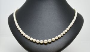 A graduated set of cultured pearls with a diamond clasp, boxed, with insurance valuation 1986.