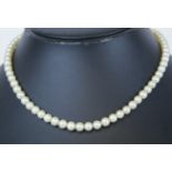 A Mikimoto pearl necklace in original box.