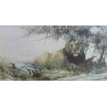 Print of a Lion, the mount signed David Shepherd with inscription and signature to verso.