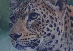 Stephen Gayford, six animal prints signed and limited edition (one on canvas board with certificates