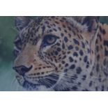 Stephen Gayford, six animal prints signed and limited edition (one on canvas board with certificates