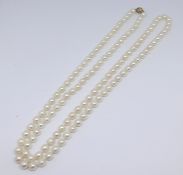 A string of cultured pearls with 9ct clasp, approx 90cm, each pearl approx 6mm diameter.