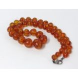 An amber bead necklace, approx 90gms.