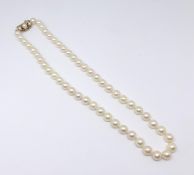 A cultured pearl necklace set with a 9ct gold clasp marked 'B.J Ltd'.