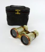 Pair of Mother of Pearl decorated opera glasses with case.