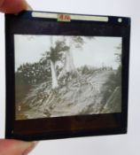 A collection of 43 glass slides dating from the early 20th century, all photographs of a Congo