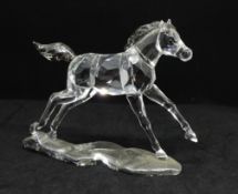 Swarovski Crystal, Annual Edition 2014 'Companion Foal', boxed.