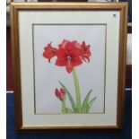 Karen Tomsett, watercolour 'Hippeastrum' exhibited at R.H.S Show in London, 47cm x 36cm.