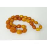 An amber bead necklace approx. 44cm, weight 55.50g.