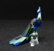 Swarovski Crystal, 'Peacock' SCS loyalty 2013, boxed.