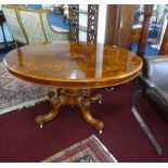 A Victorian burr walnut pedestal loo table, length 130cm, width 99cm.