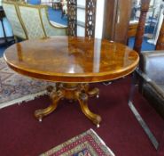 A Victorian burr walnut pedestal loo table, length 130cm, width 99cm.