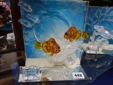 Swarovski Crystal, 'Wonders of the Sea' Harmony, boxed.