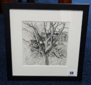 Robert Lenkiewicz (1941-2002) 'Etching of trees', framed and glazed, 17cm x 17cm.