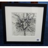 Robert Lenkiewicz (1941-2002) 'Etching of trees', framed and glazed, 17cm x 17cm.