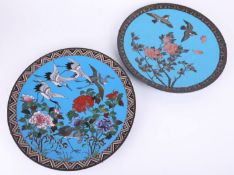 A pair of Japanese cloisonné wall plates on a blue ground (2),