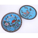 A pair of Japanese cloisonné wall plates on a blue ground (2),