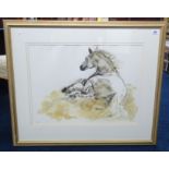 Jennifer Brereton, limited edition print, horse study, number 84/ 500, framed and glazed, 43cm x