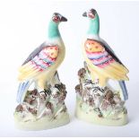 Pair of Staffordshire figures of peacocks, height 27cm