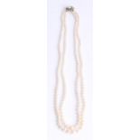 A string of pearls with 9ct gold clasp.