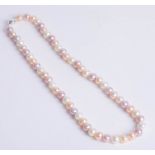 Single row mixed coloured freshwater Pearl necklet with silver ball clasp.