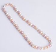 Single row mixed coloured freshwater Pearl necklet with silver ball clasp.