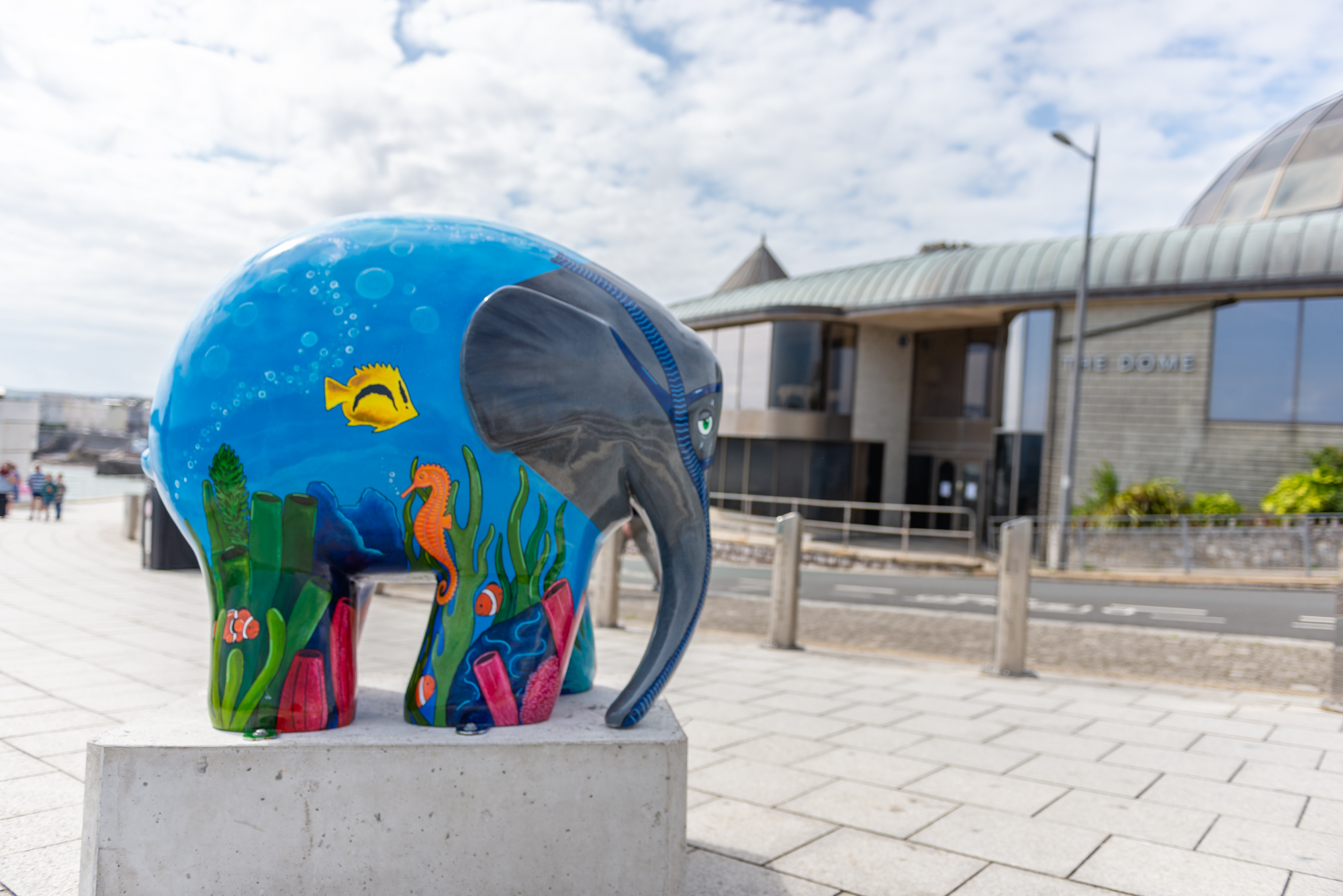 'Snorkelly' by Megan Heather Evans. Sponsored by Radio Plymouth - Image 6 of 11