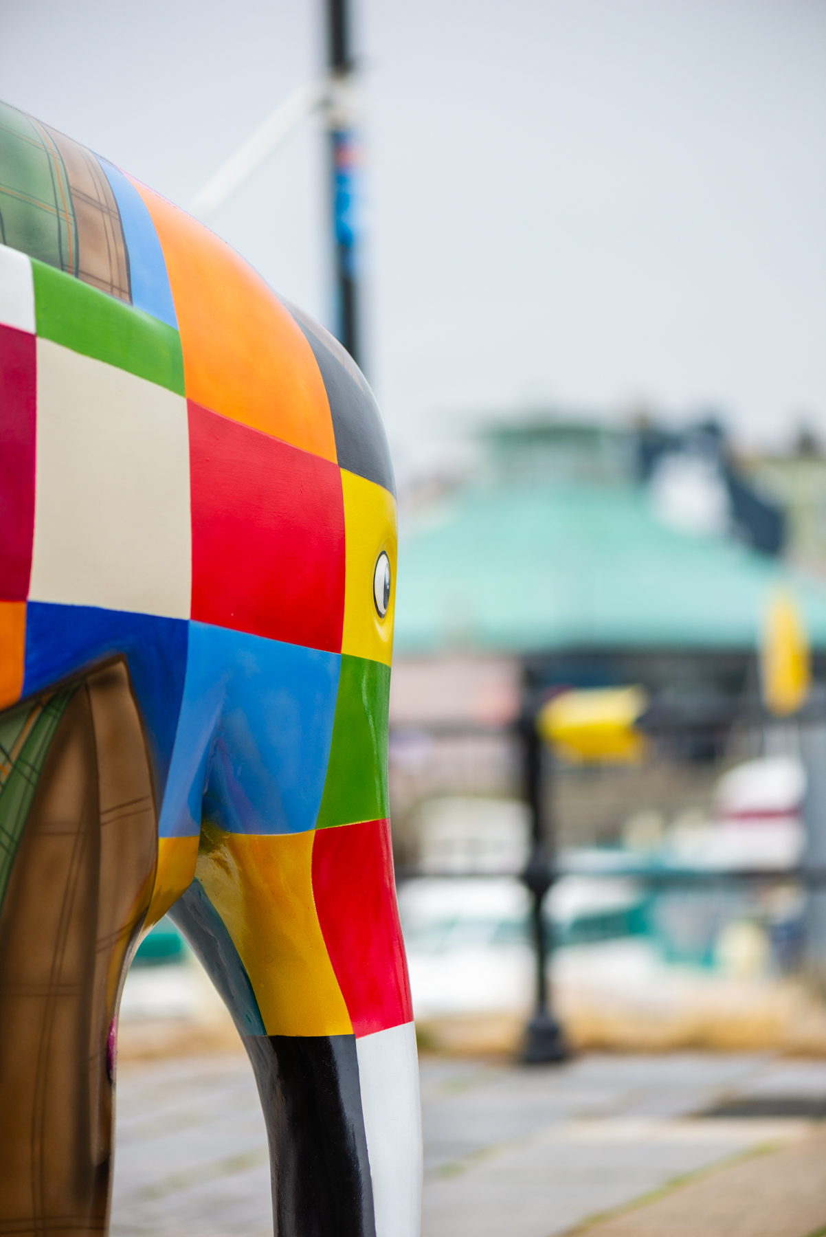 'Ellie-mentary' by Mik Richardson. Sponsored by Wolferstans Solicitors - Image 9 of 10