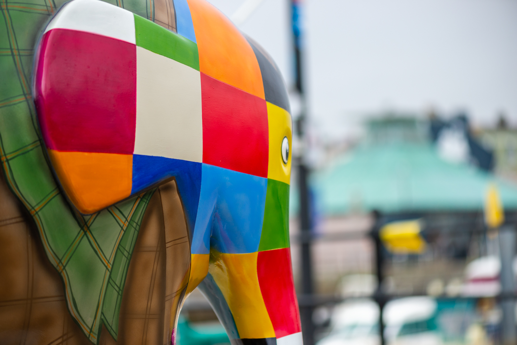 'Ellie-mentary' by Mik Richardson. Sponsored by Wolferstans Solicitors - Image 8 of 10