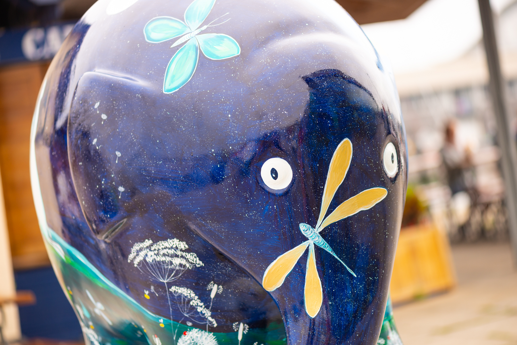 'Zou' by Jess Perrin. Sponsored by Foot Anstey - Image 11 of 16