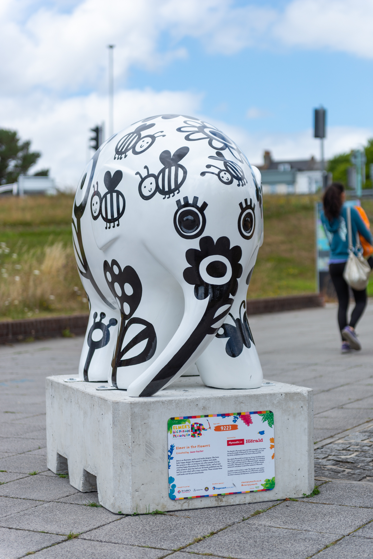 'Elmer in the Flowers' by Jane Foster. Sponsored by Plmouth Live/The Herald - Image 6 of 8