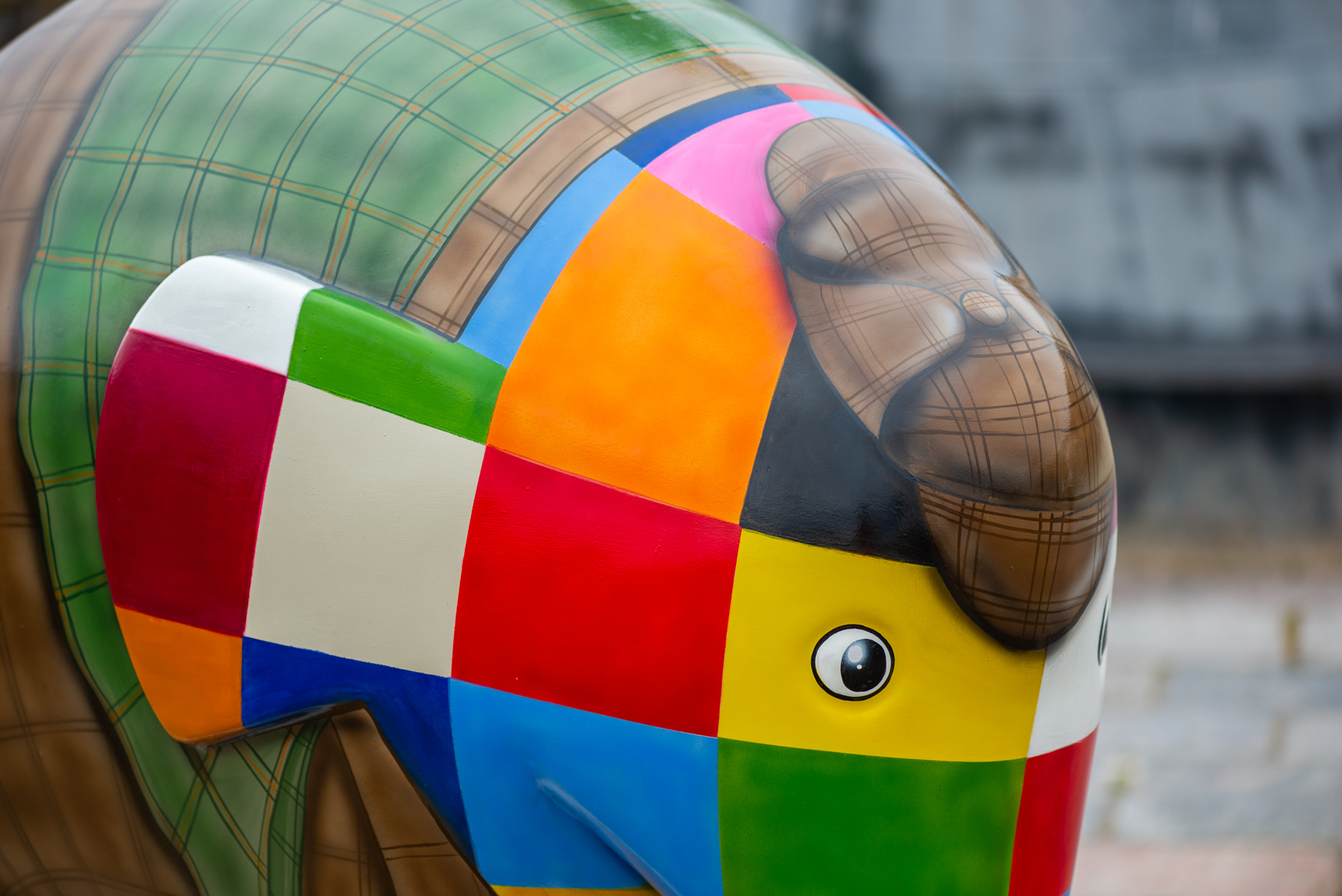 'Ellie-mentary' by Mik Richardson. Sponsored by Wolferstans Solicitors - Image 5 of 10