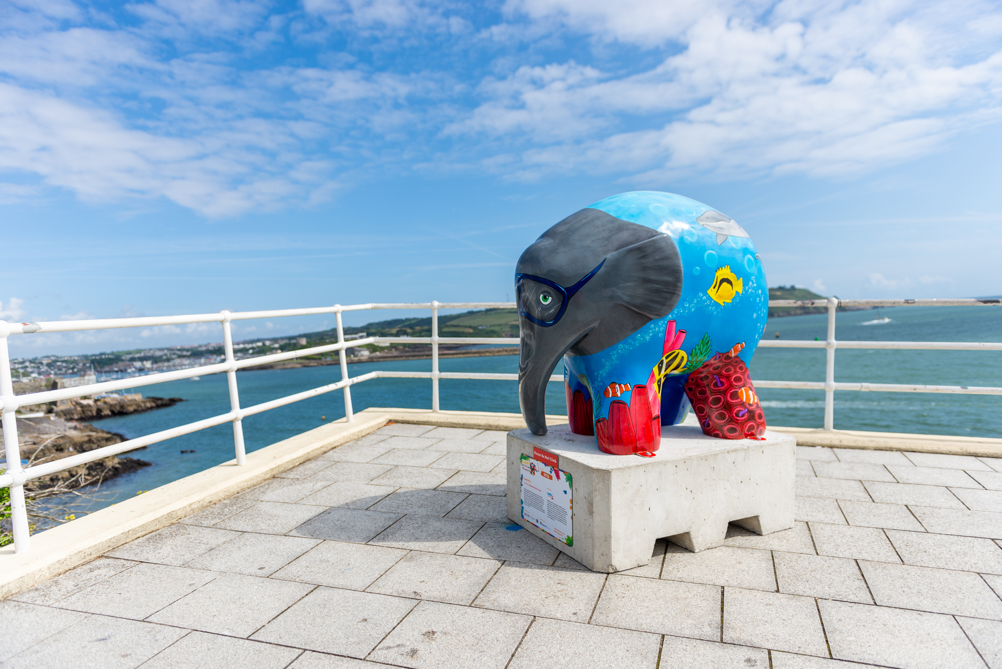 'Snorkelly' by Megan Heather Evans. Sponsored by Radio Plymouth - Image 10 of 11