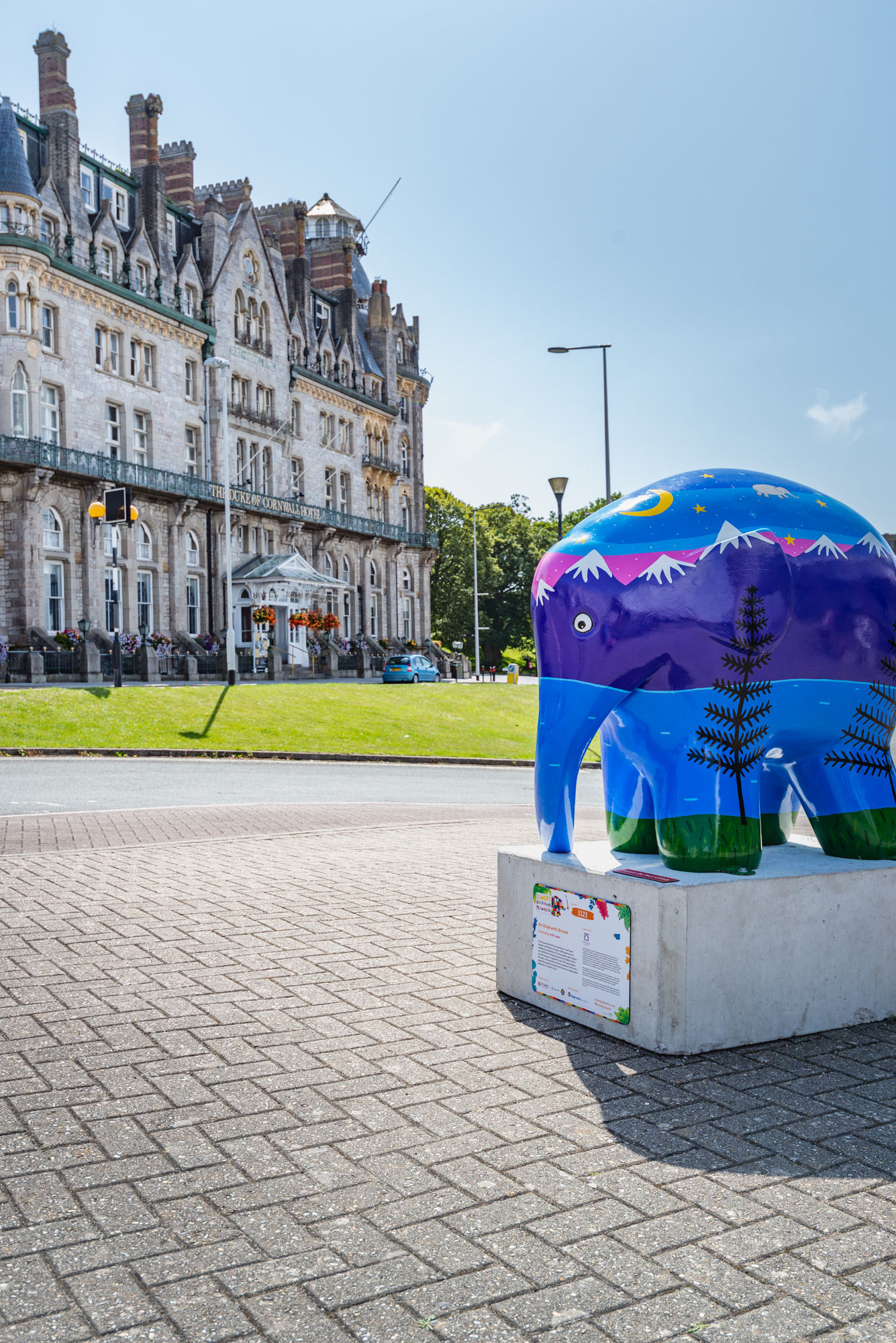 'An Elephant's Dream' by Arth Law. Sponsored by McClure Solicitors - Image 6 of 10