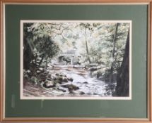 David Wilcox, watercolour, 'Woodland Stream', framed and glazed, 29cm x 42cm.