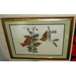 FRAMED AND GLAZED PICTURE OF BIRDS