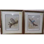 TWO ENDORSED LIMITED EDITION FRAMED AND GLAZED PRINTS AFTER DAVID ANDREWS - 'K'INGFISHER' AND '