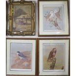 THREE ENDORSED LIMITED EDITION FRAMED AND MOUNTED PRINTS AFTER DAVID ANDREWS - 'BUZZARD', 'PEREGRINE