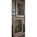 TWO FRAMED AND GLAZED WATERCOLOURS OF WOODLAND SCENES, BOTH SIGNED TAYLER - IRELAND