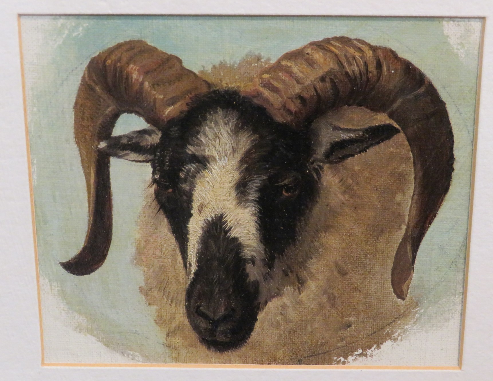 Oil on canvas studies of three rams heads, each 11 x 13, mounted and glazed in a gilt frame (overall - Image 3 of 4