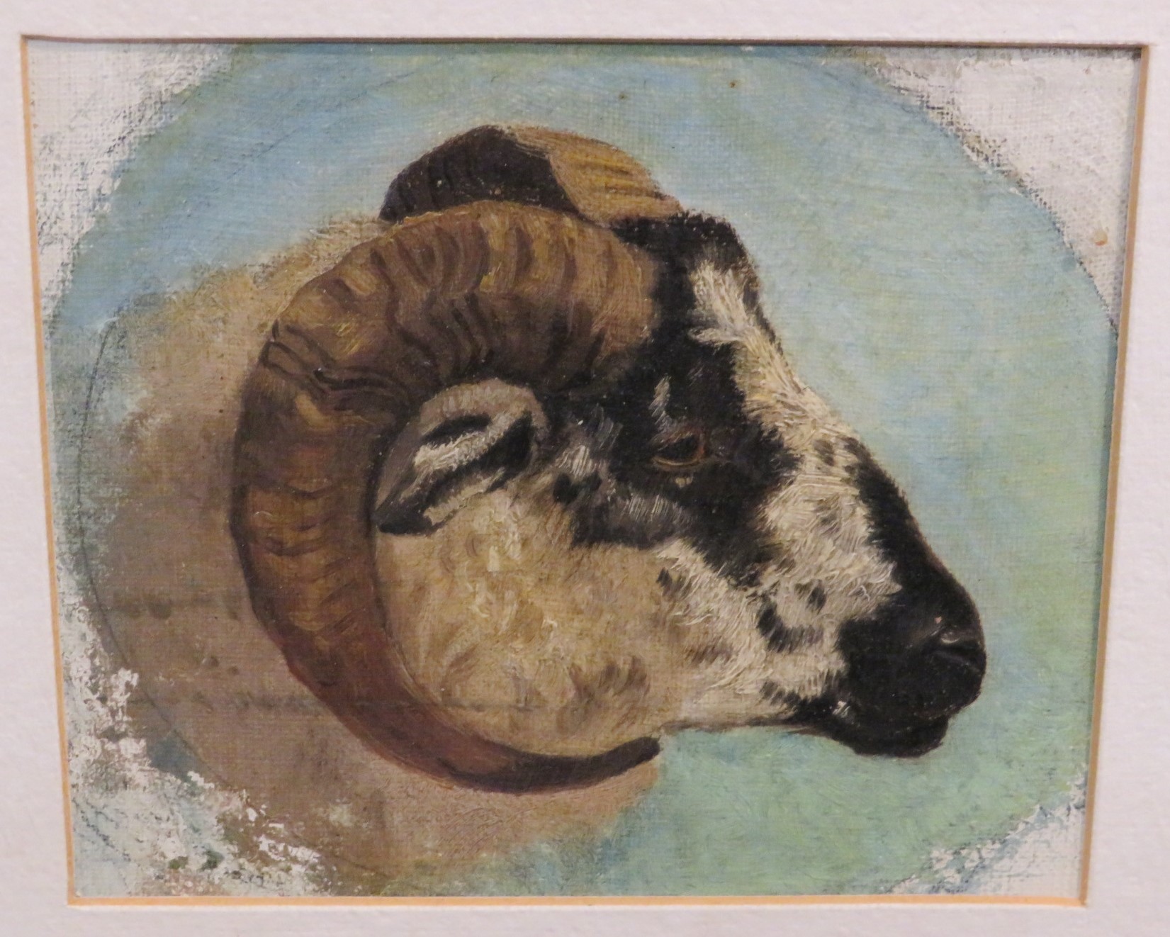 Oil on canvas studies of three rams heads, each 11 x 13, mounted and glazed in a gilt frame (overall - Image 2 of 4