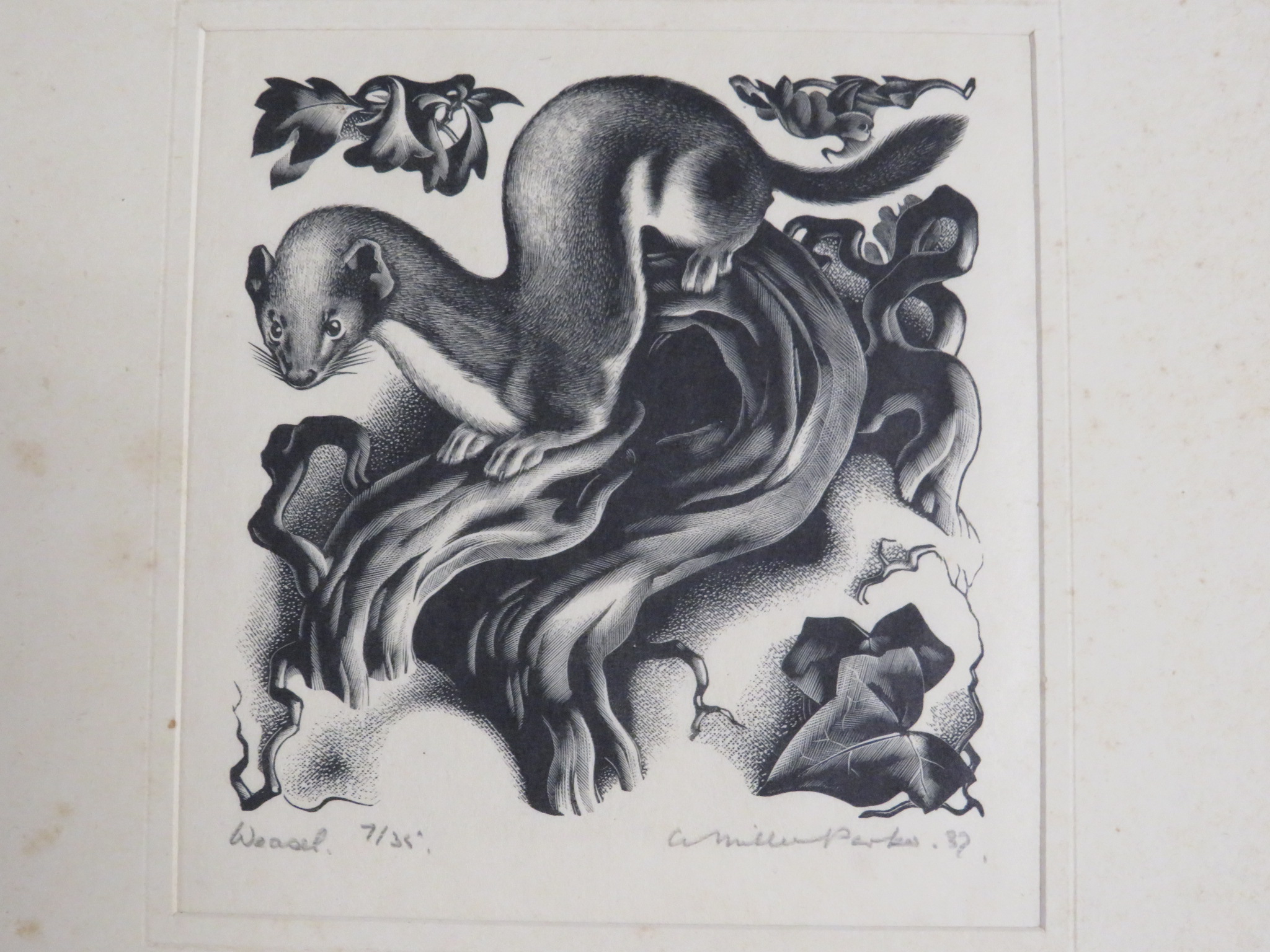 Agnes Miller Parker (1895-1980) - Weasel, woodcut, numbered 7 / 35, signed in pencil lower right and - Image 4 of 7