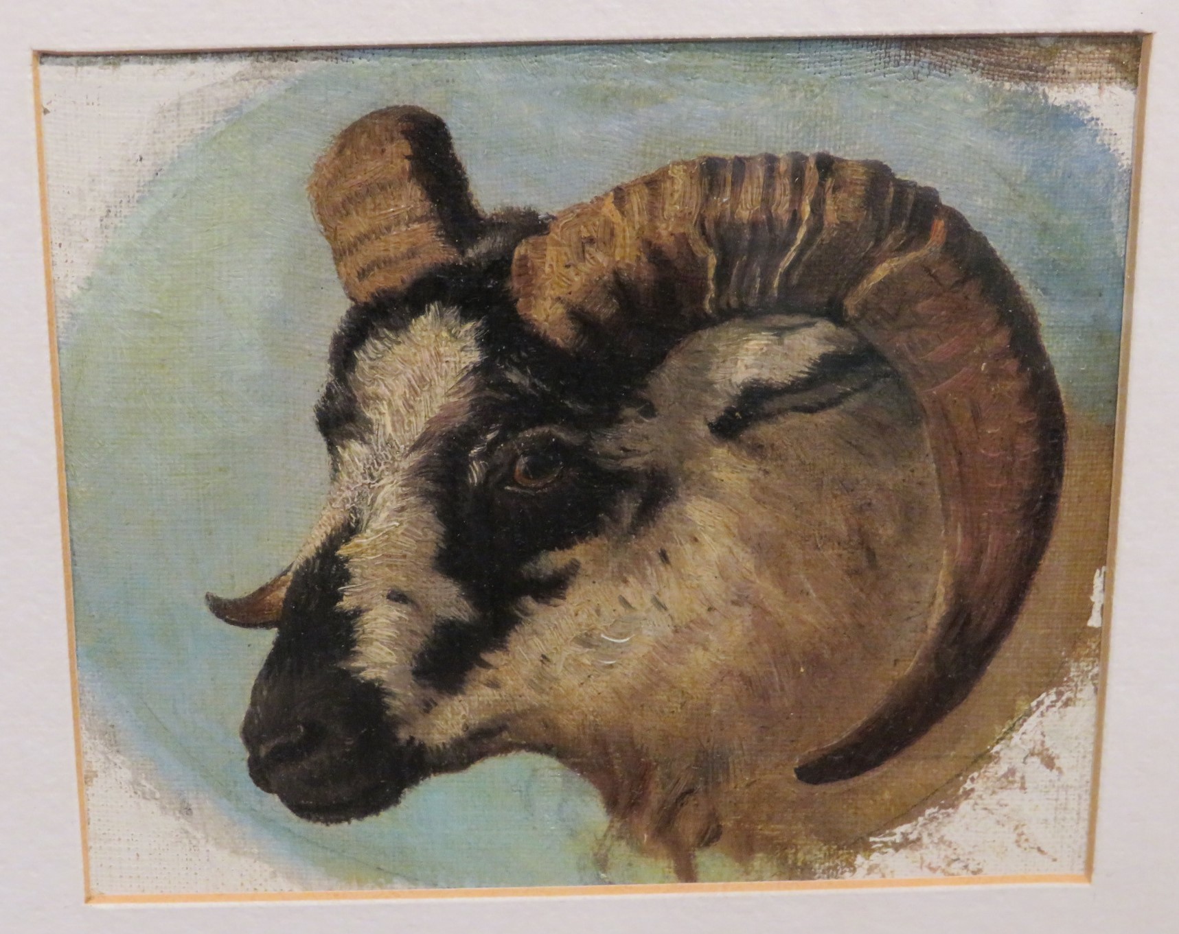 Oil on canvas studies of three rams heads, each 11 x 13, mounted and glazed in a gilt frame (overall - Image 4 of 4