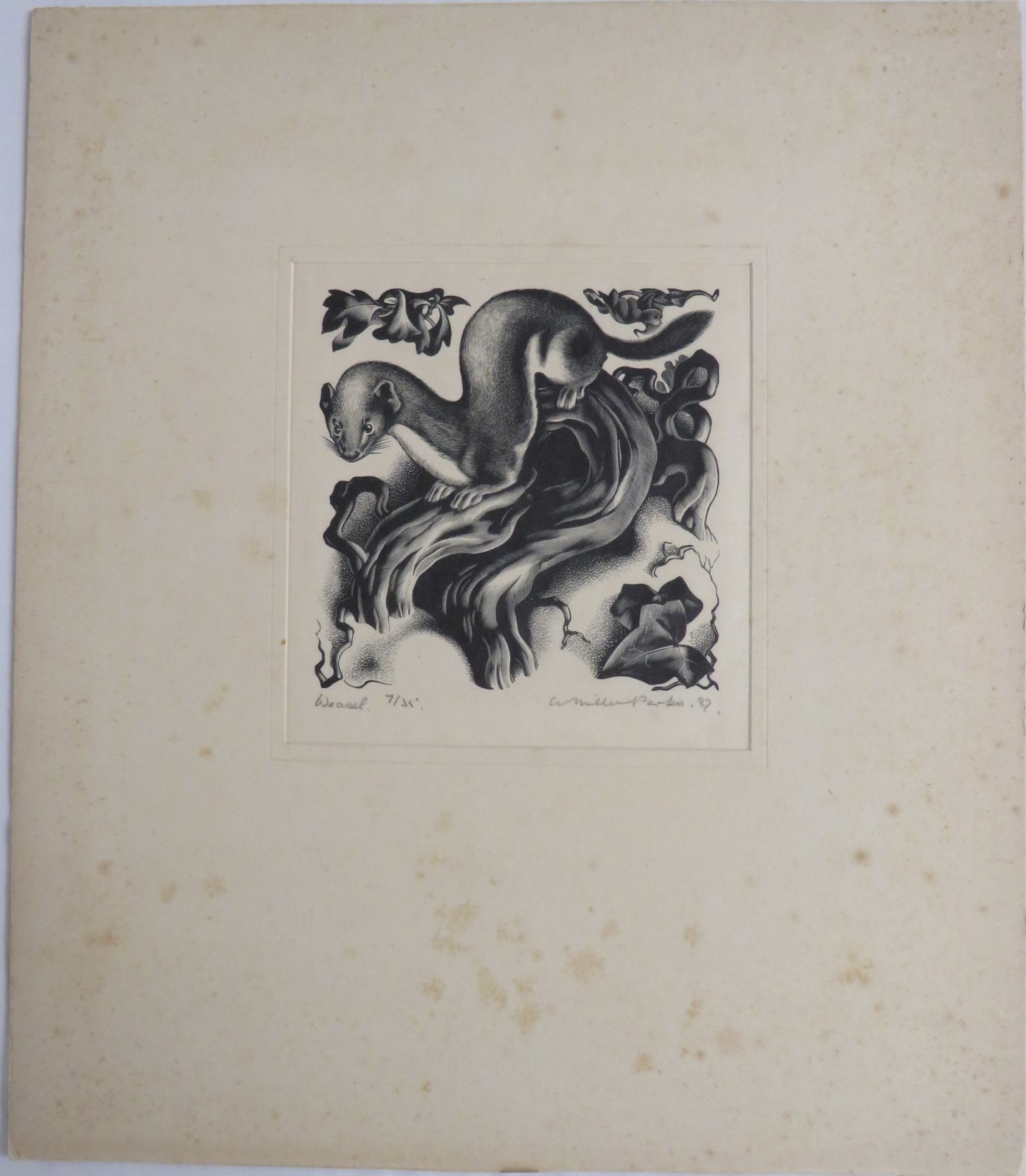 Agnes Miller Parker (1895-1980) - Weasel, woodcut, numbered 7 / 35, signed in pencil lower right and - Image 2 of 7