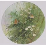 'Large Heaths on Feverfew', watercolour, signed Neil Cox lower right, circular mount, diameter 22cm,