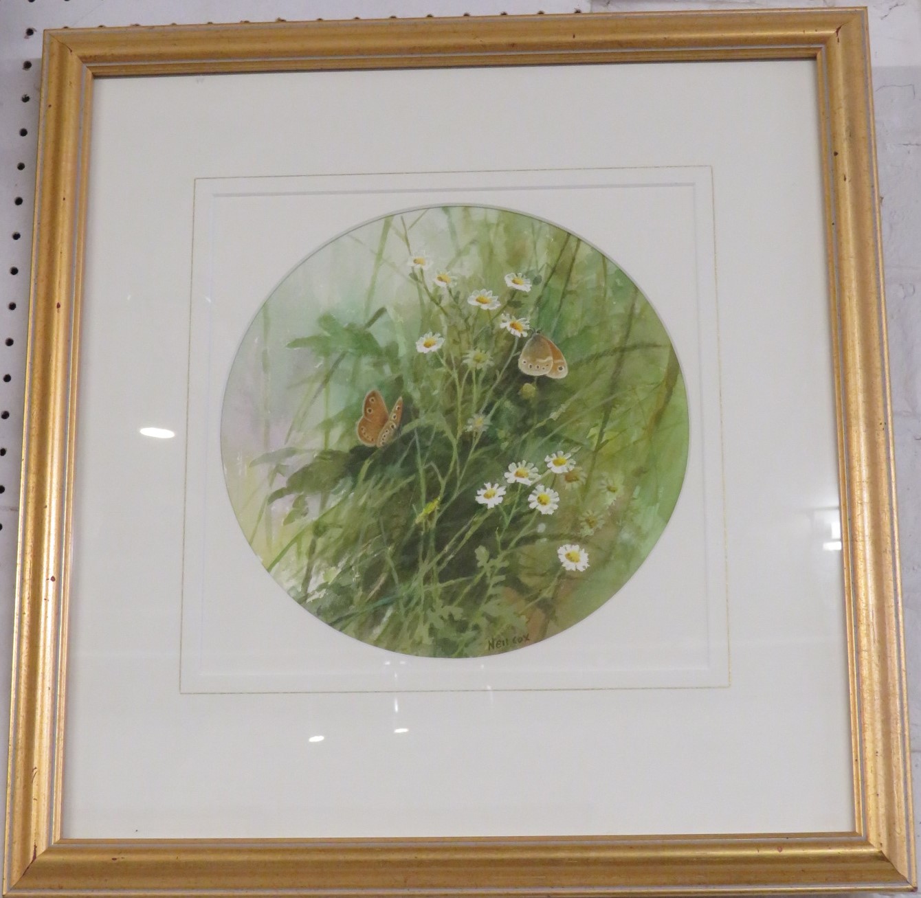 'Large Heaths on Feverfew', watercolour, signed Neil Cox lower right, circular mount, diameter 22cm, - Image 2 of 5