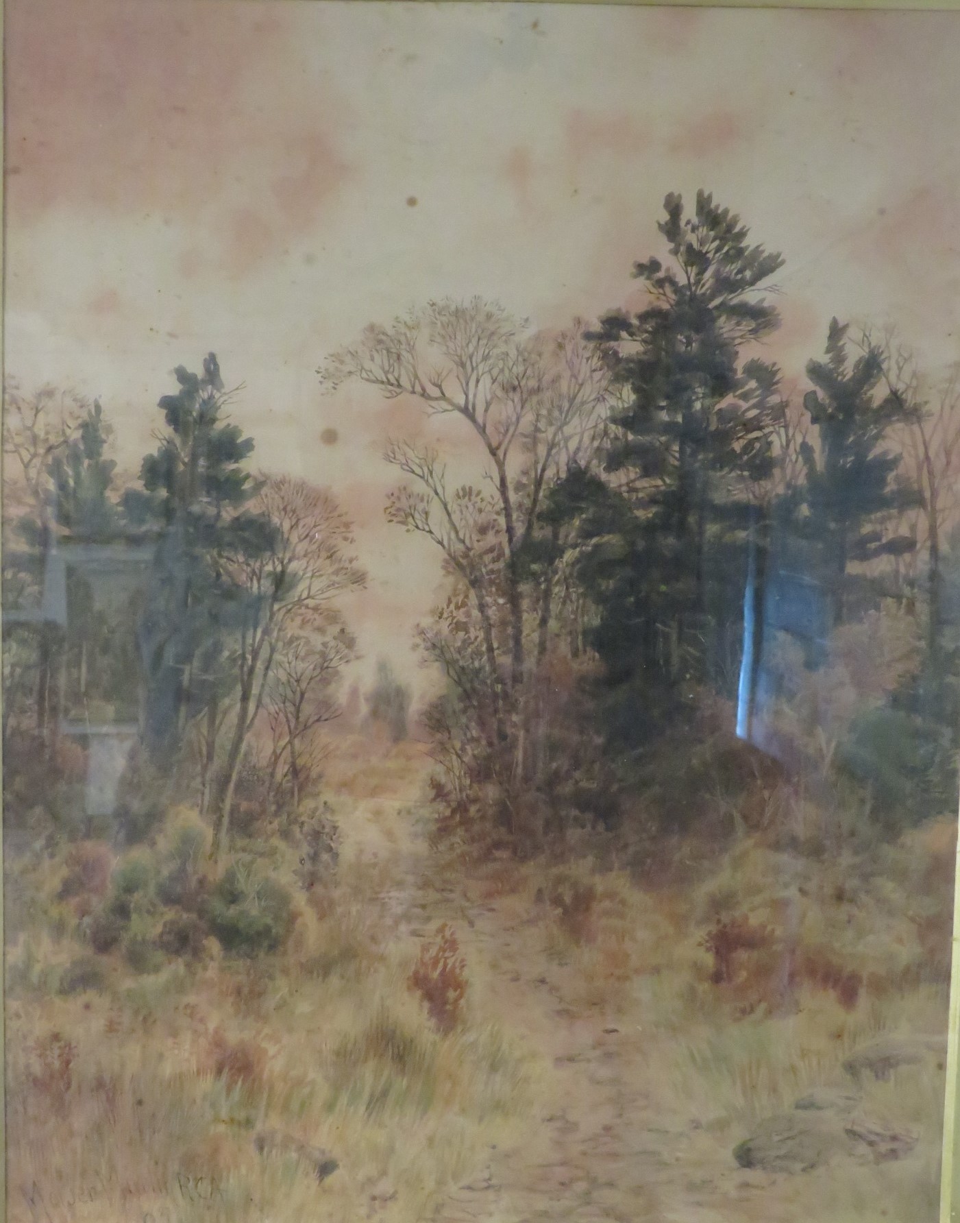 Autumn woodland landscape with evergreen trees, watercolour, signed and dated lower left Mower