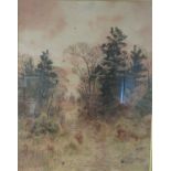 Autumn woodland landscape with evergreen trees, watercolour, signed and dated lower left Mower