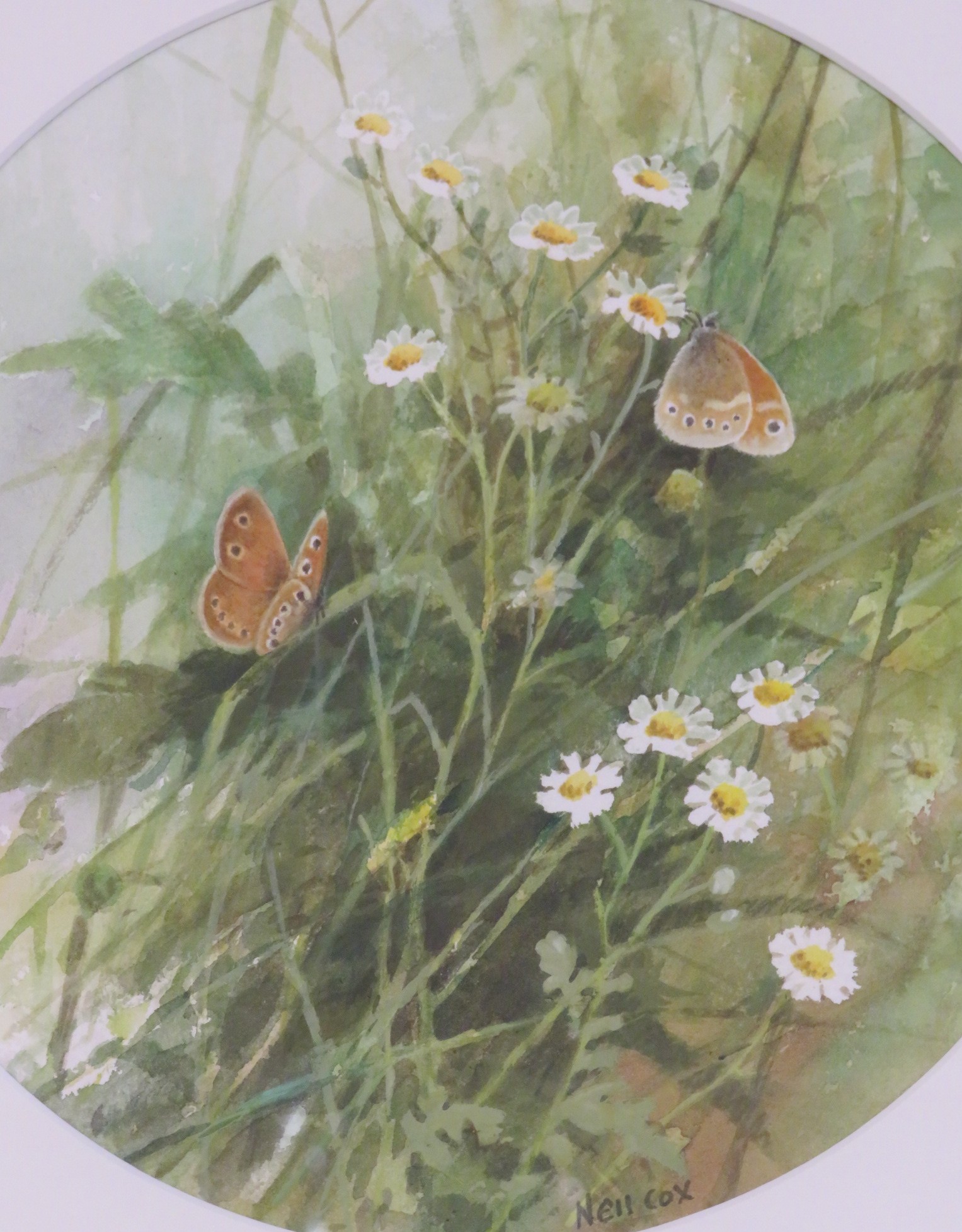'Large Heaths on Feverfew', watercolour, signed Neil Cox lower right, circular mount, diameter 22cm, - Image 3 of 5